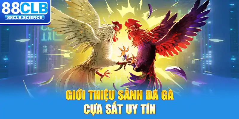 Giới thiệu sảnh đá gà cựa sắt uy tín 