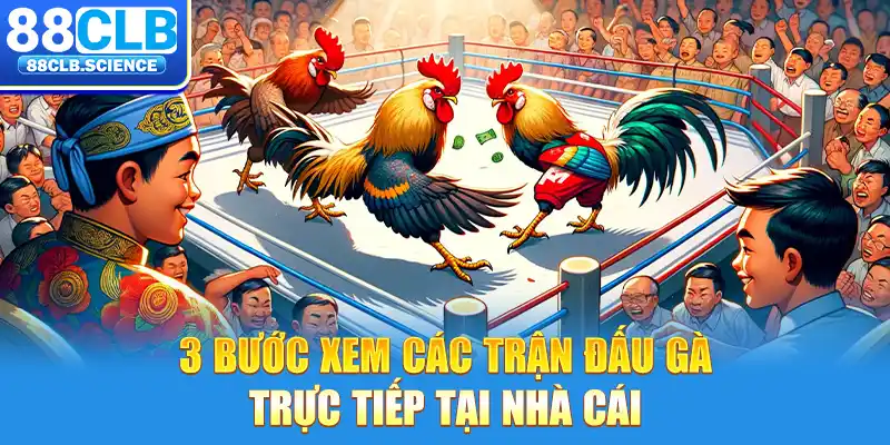 3 bước xem các trận đấu gà trực tiếp tại nhà cái