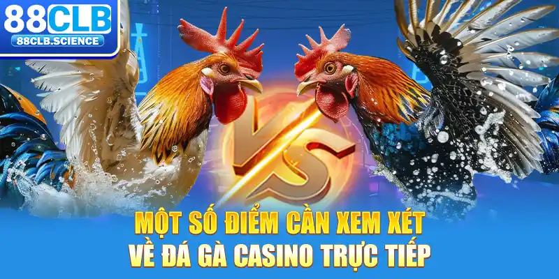 Một số điểm cần xem xét về đá gà casino trực tiếp