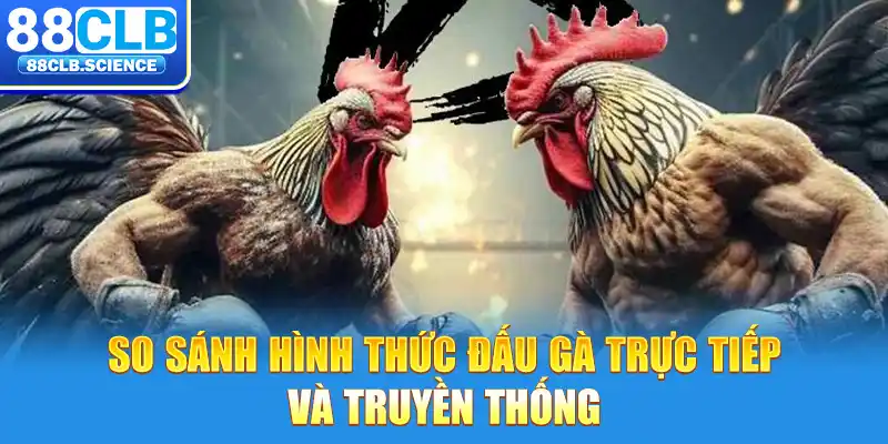 So sánh hình thức đấu gà trực tiếp và truyền thống